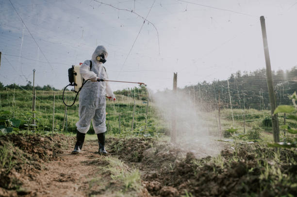 Professional Pest Control in El Dorado Hills, CA