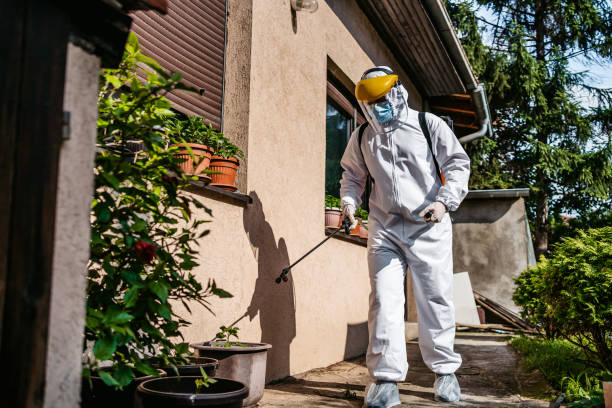 Best Local Pest Control Services  in El Dorado Hills, CA