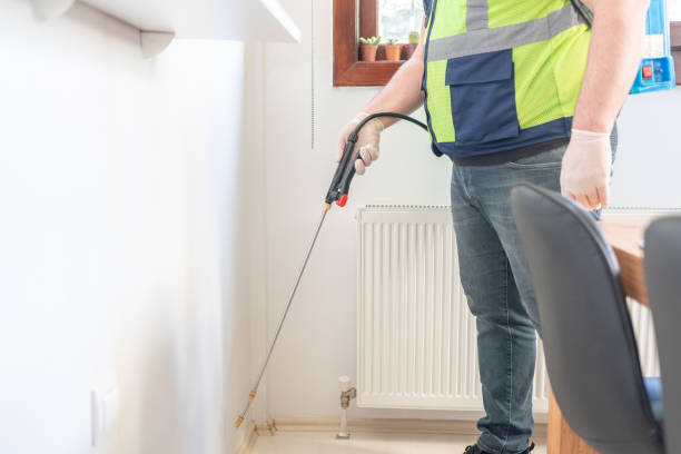 Best Affordable Pest Control Services  in El Dorado Hills, CA