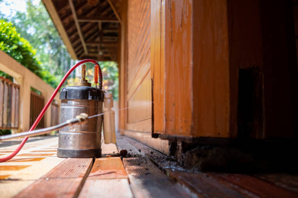 Best Pest Removal Services  in El Dorado Hills, CA