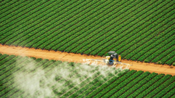 Pest Control Cost in El Dorado Hills, CA