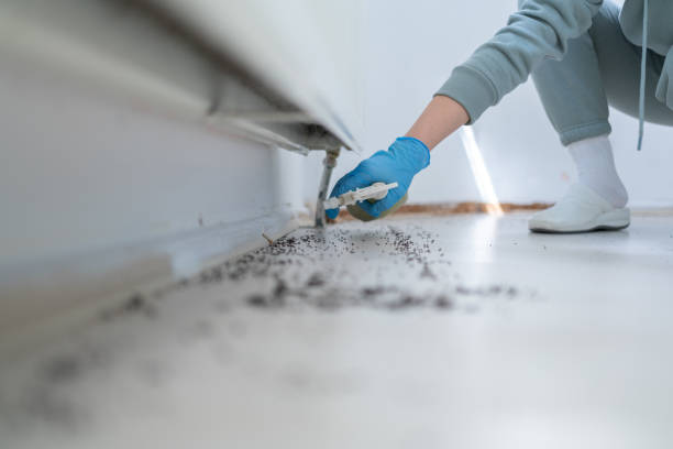 Best Cockroach Control Services  in El Dorado Hills, CA